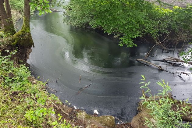 kemis tojnica-potok-ribe_bobo6.jpg