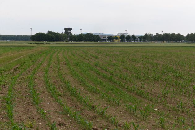 Magna Steyr, Hoče-Slivnica