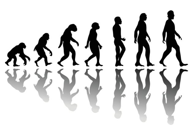evolucija-clovek-homo-sapiens_profimedia.jpg