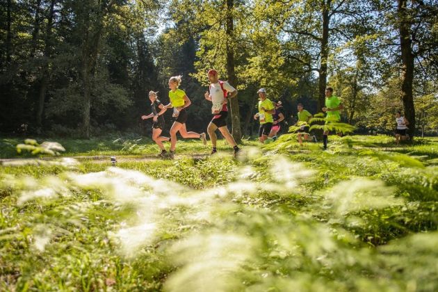 Pripravimo se na Triglav tek.jpg