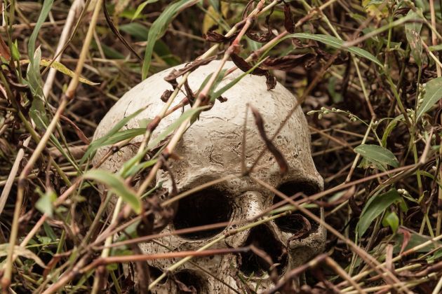 okostje, lobanja, trava