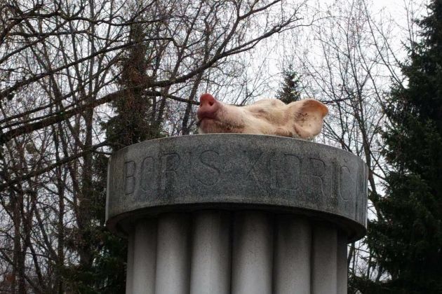 svinjska glava kidric.jpg