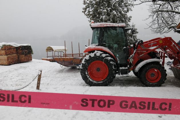 pletna, bled, nesreča