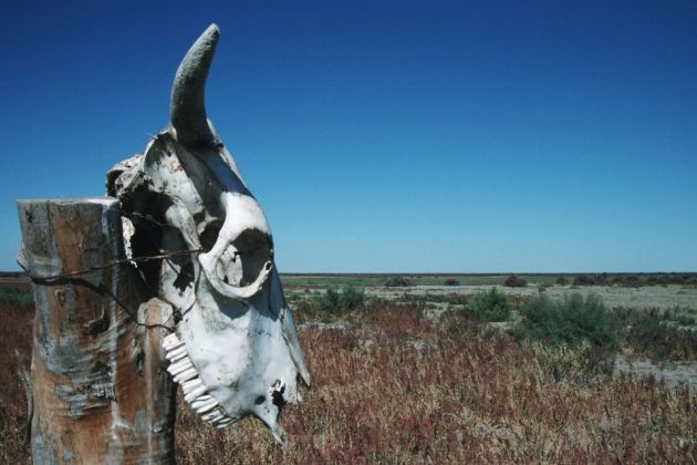 katastrofa, puščava, suša, apokalipsa