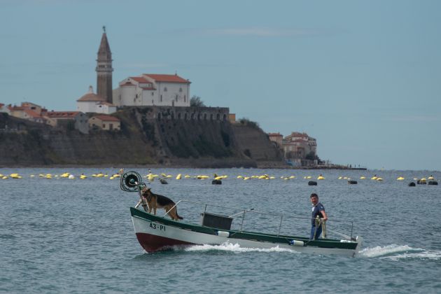 ribič, piranski zaliv, ribištvo, ribarjenje