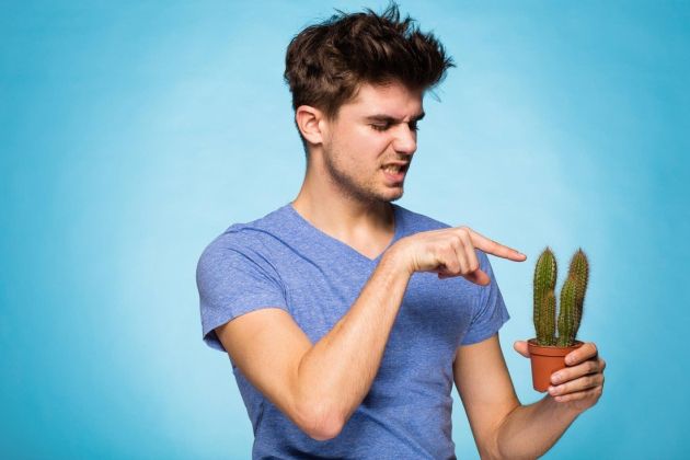 moški in kaktus.jpg