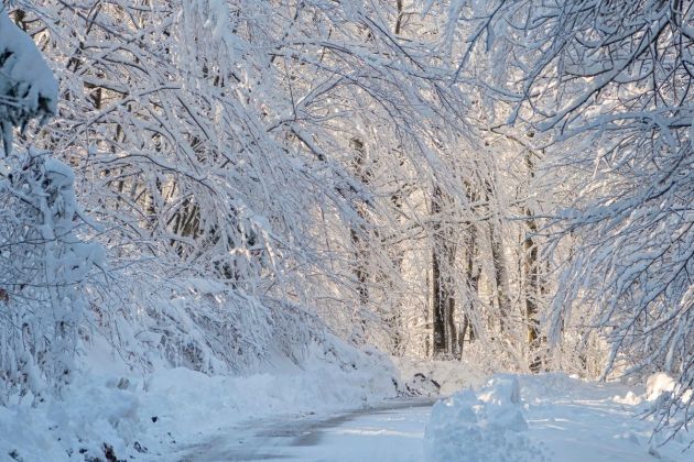 sneg snezenje zima.jpg