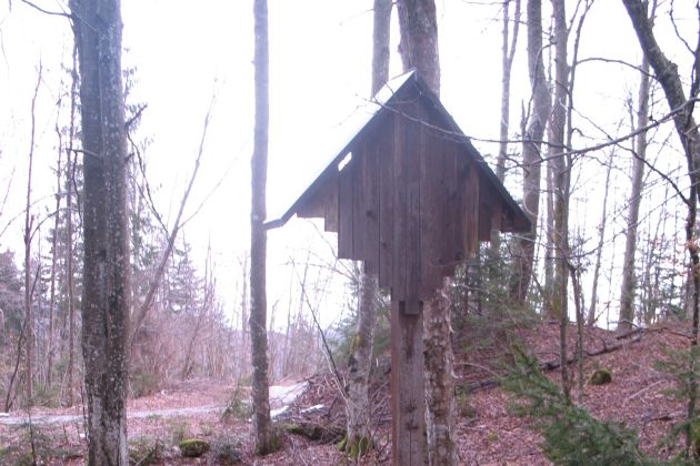 2 - 2 - Golo nad Igom.jpg