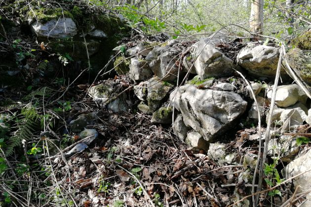 Ajd zid_Verd 2 Foto J.Kusetič.jpg