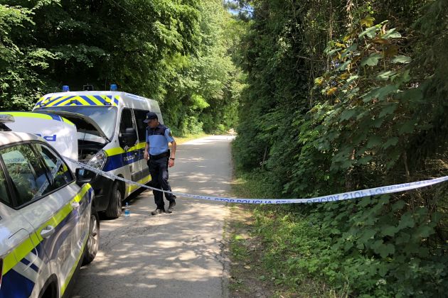 krčevina pri vurbergu, streljanje.jpg