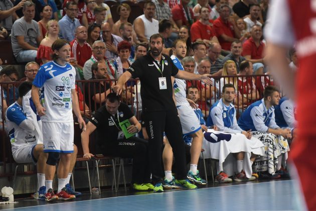 852-18-slovenija 1 gw.jpg