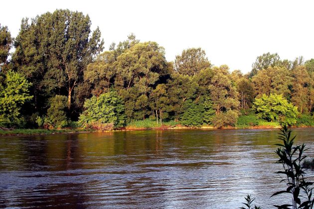 reka mura prekmurje slovenija.JPG