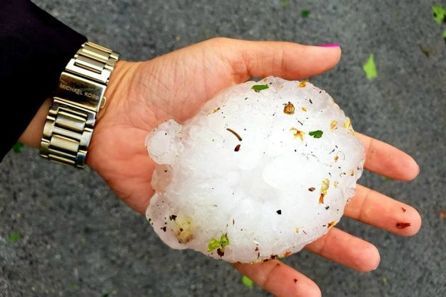 Črnomelj je ogromna toča hudo opustošila.