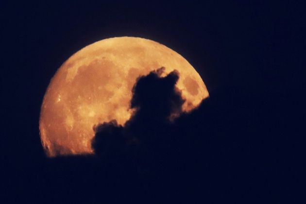 Lunin mrk, 27. 7. 2018.jpg