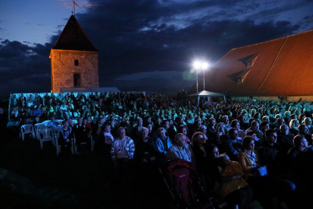 festival narodno-zabavne glasbe nzg ptuj 2017.jpg