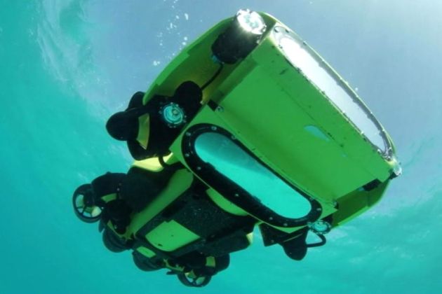 robot morske zvezde korale.jpg