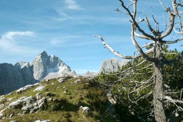 jalovec vrsic planine gore julijske alpe bobo2.jpg