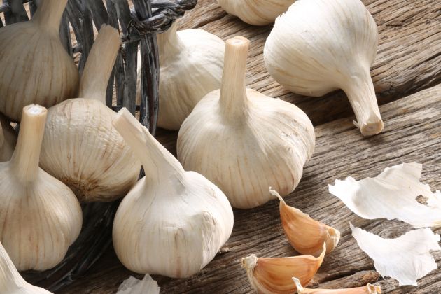 376 05 ČESENJ HALOŠKI.JPG