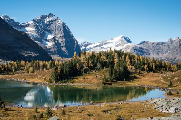 kanada gore jezero o'hara park yoho.jpg