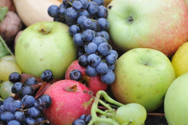 Rakičan, jesen,  razstava , darovi narave, sadje.jpeg