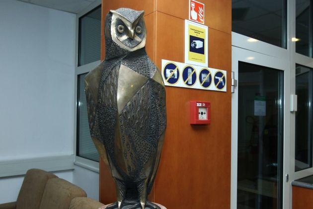 sova agencija pl.jpg