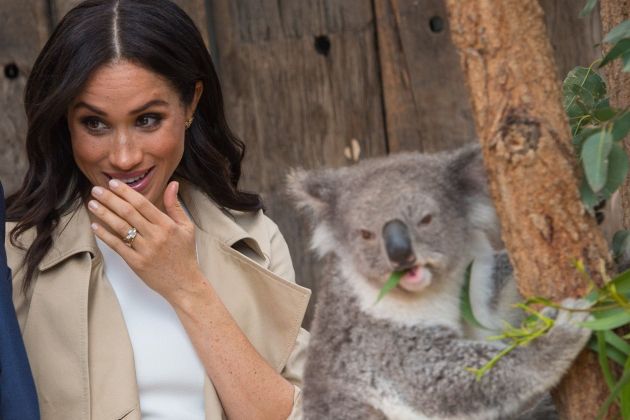 meghan markle_avstralija_vojvodinja sussekška.jpg