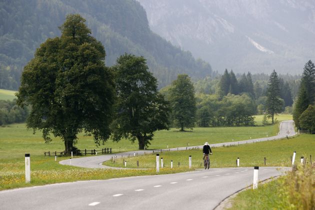 logarska dolina bobo.jpg