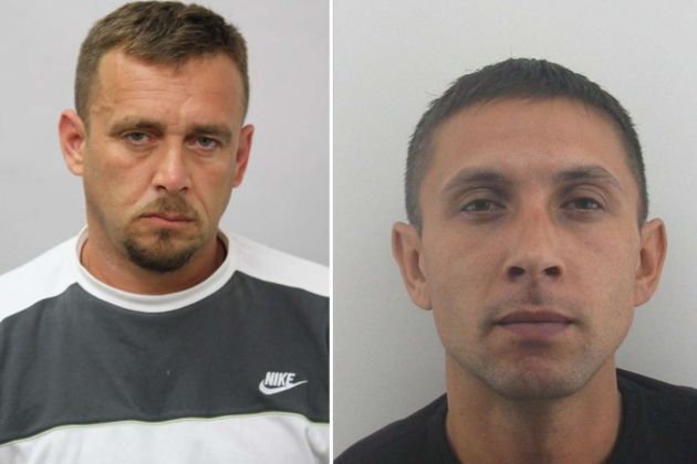 mitrovic milosavljevic pu koper.jpg