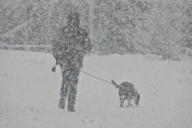 sneg zima bobo 2.jpg