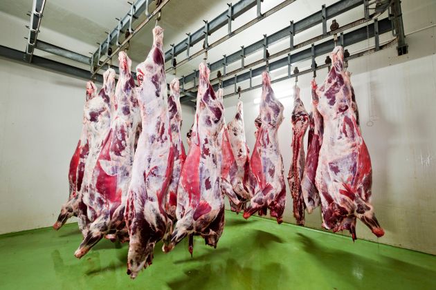 klavnica meso pf.jpg