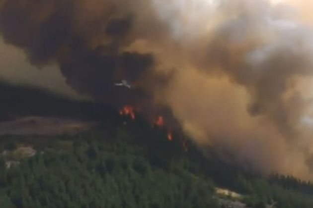 pozar nova zelandija.jpg