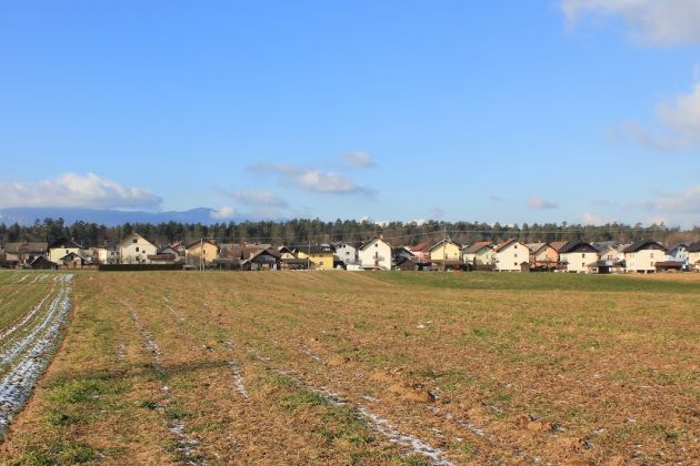 udin borst kranj.jpg