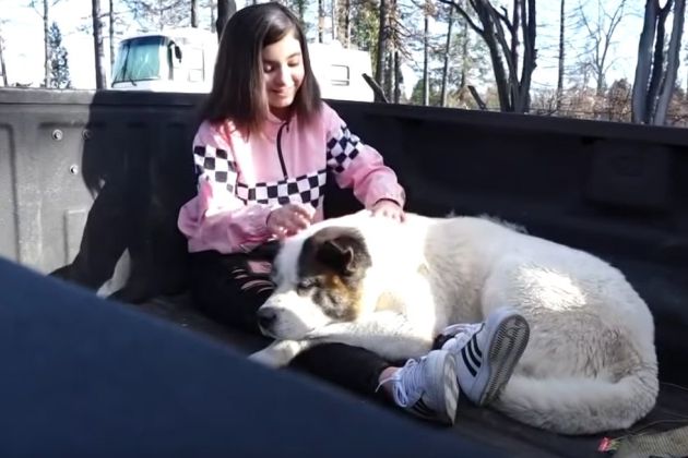 maleah ballejos pes kingston.jpg