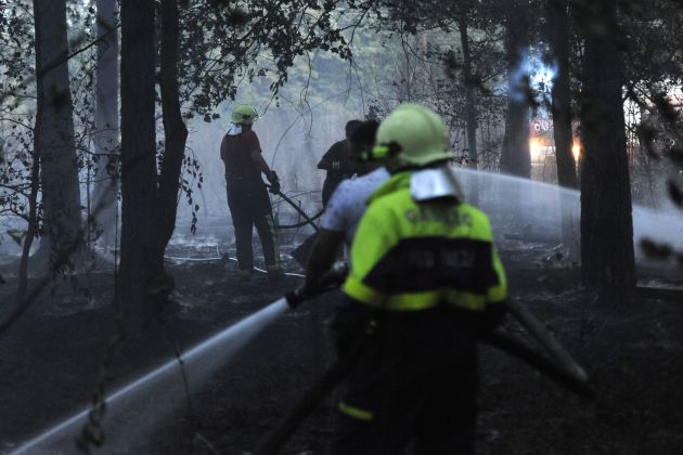 gasilci gozdni pozar bobo1.jpg