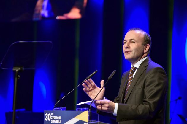 manfred weber sds bobo3.jpg