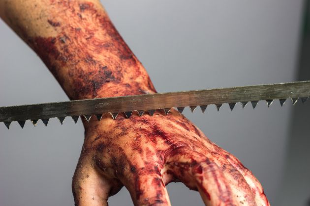 roka zaga kri pf.jpg