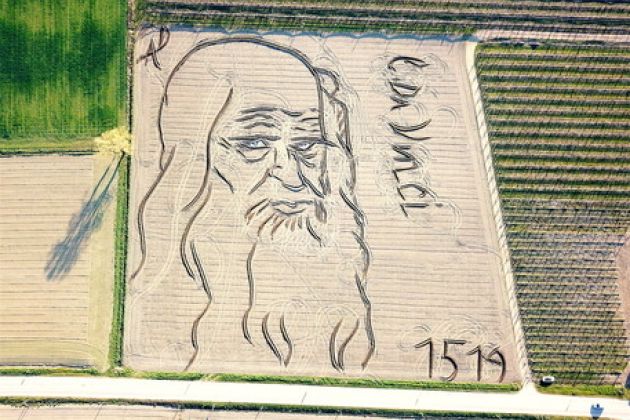 Leonardo da Vinci polje.jpg