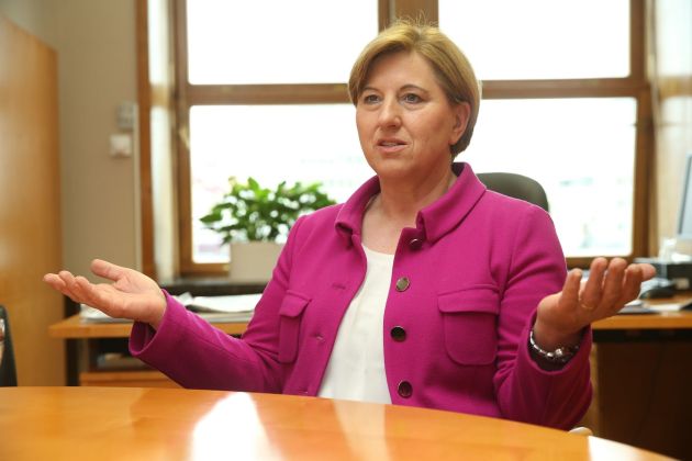 ljudmila novak pl2.jpg