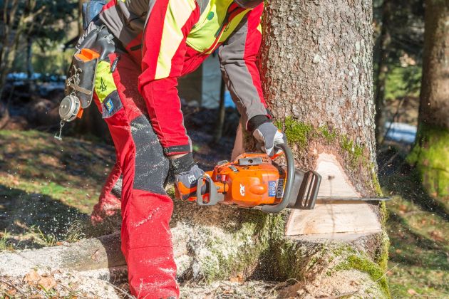 motorna zaga motorka delo v gozdu gozdar.jpg