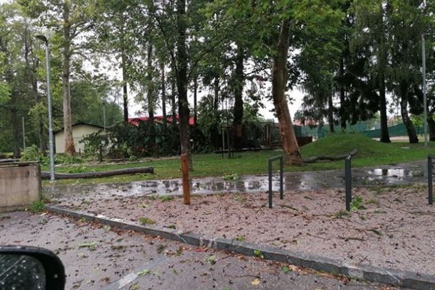 kočevje, neurje.jpg