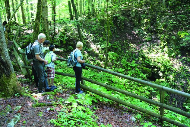 5 Kocevski rog grobisce pod Krenom.JPG