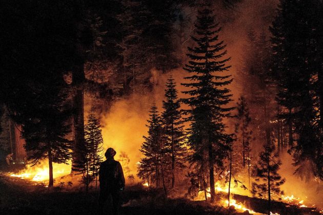 gozdni pozar gasilec pf.jpg