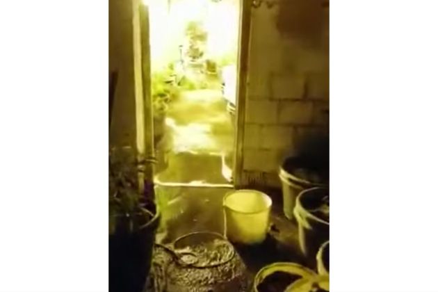 marihuana laboratorij.jpg