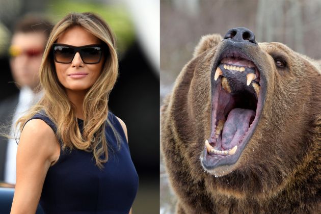 melania grizli ds-pf.jpg