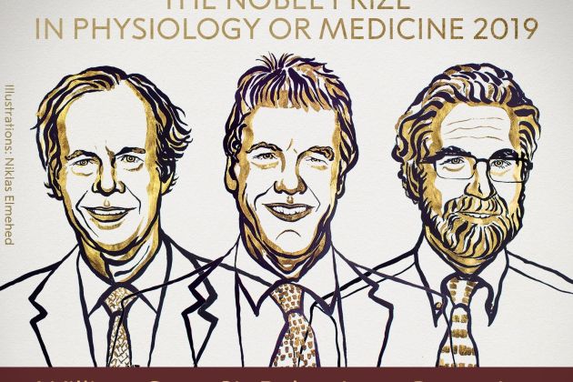 nobel medicina 2019.jpg