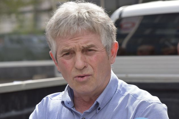 roman zveglic bobo.jpg