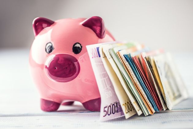 pujs denar varcevanje evri pf.jpg