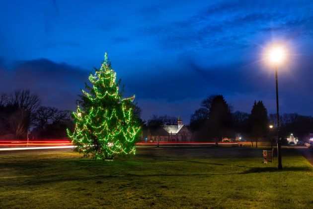 bozicno drevesce pf.jpg