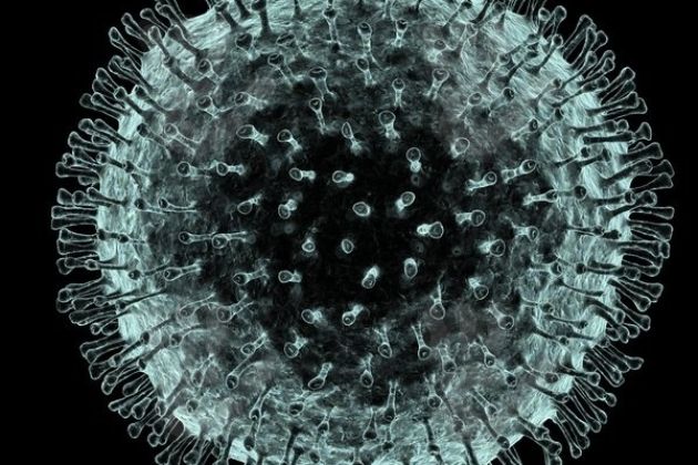 koronavirus.jpg