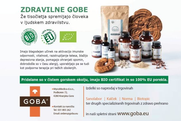 zdravilne gobe goba eu.jpg